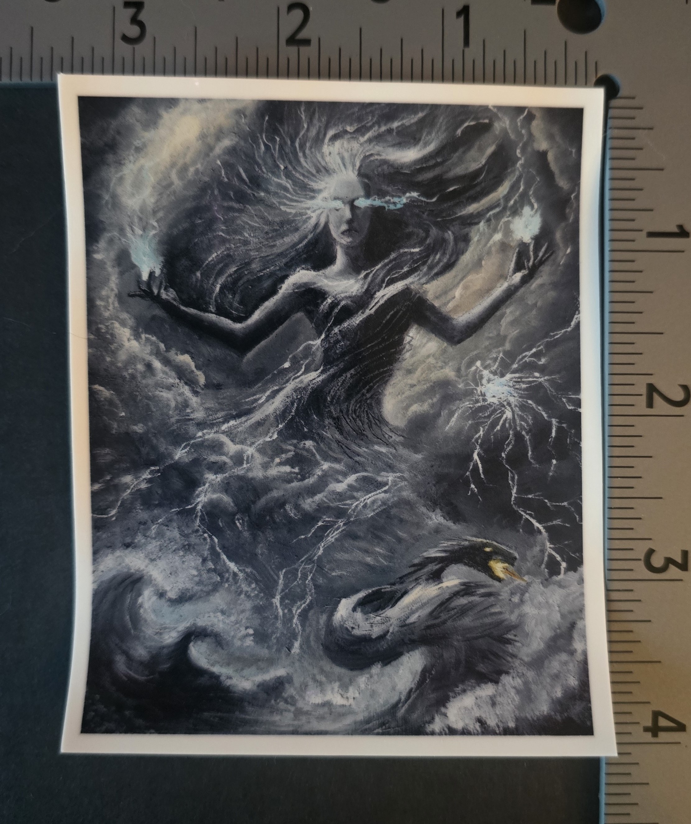 The Storm Warden